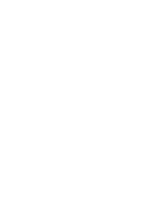 dir do consumidor .2